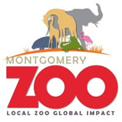 Montgomery summer camps